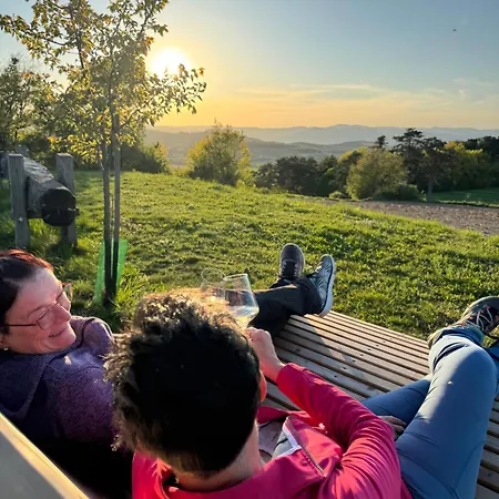 Vakantieboerderij Winzerhof Holzheu - Gaestehaus Lebensfreude *